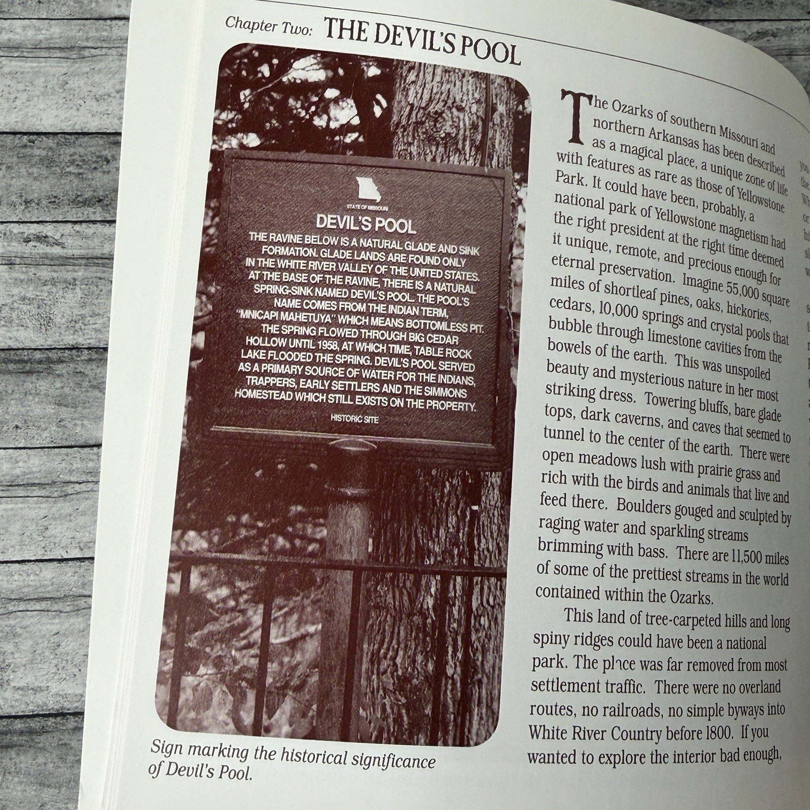 Devil’s Pool A History of Big Cedar Lodge Ozarks Ridgedale Missouri 1995