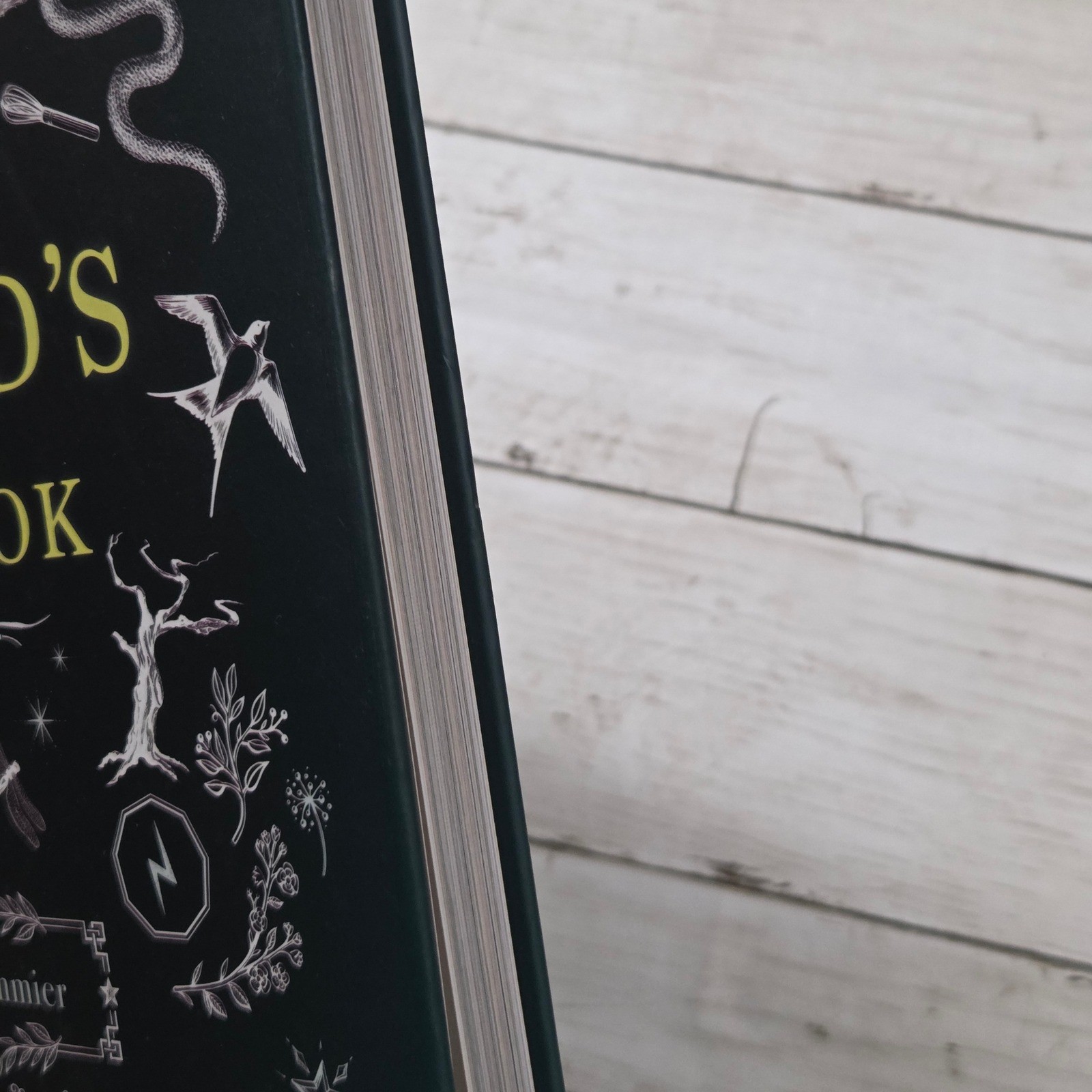 The Wizard’s Cookbook Magical Recipes Hardcover Skyhorse Cookbook
