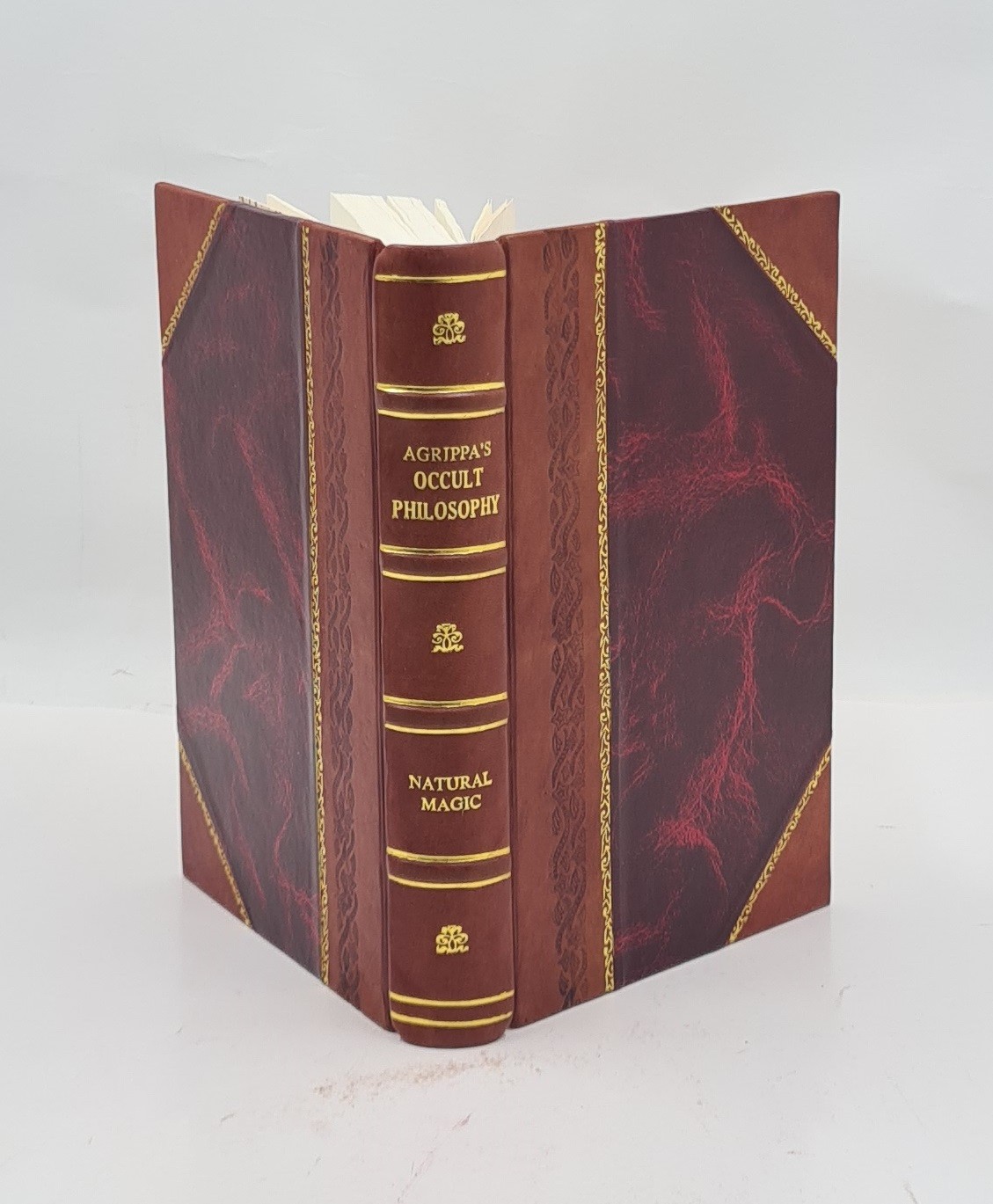 Three books of occult philosophy or magic 1898 [LEATHER BOUND]