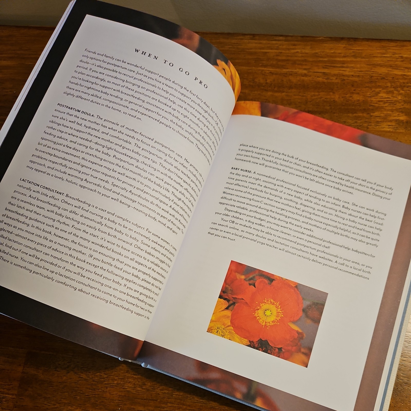 The First Forty Days: Essential Art of Nourishing the New Mother