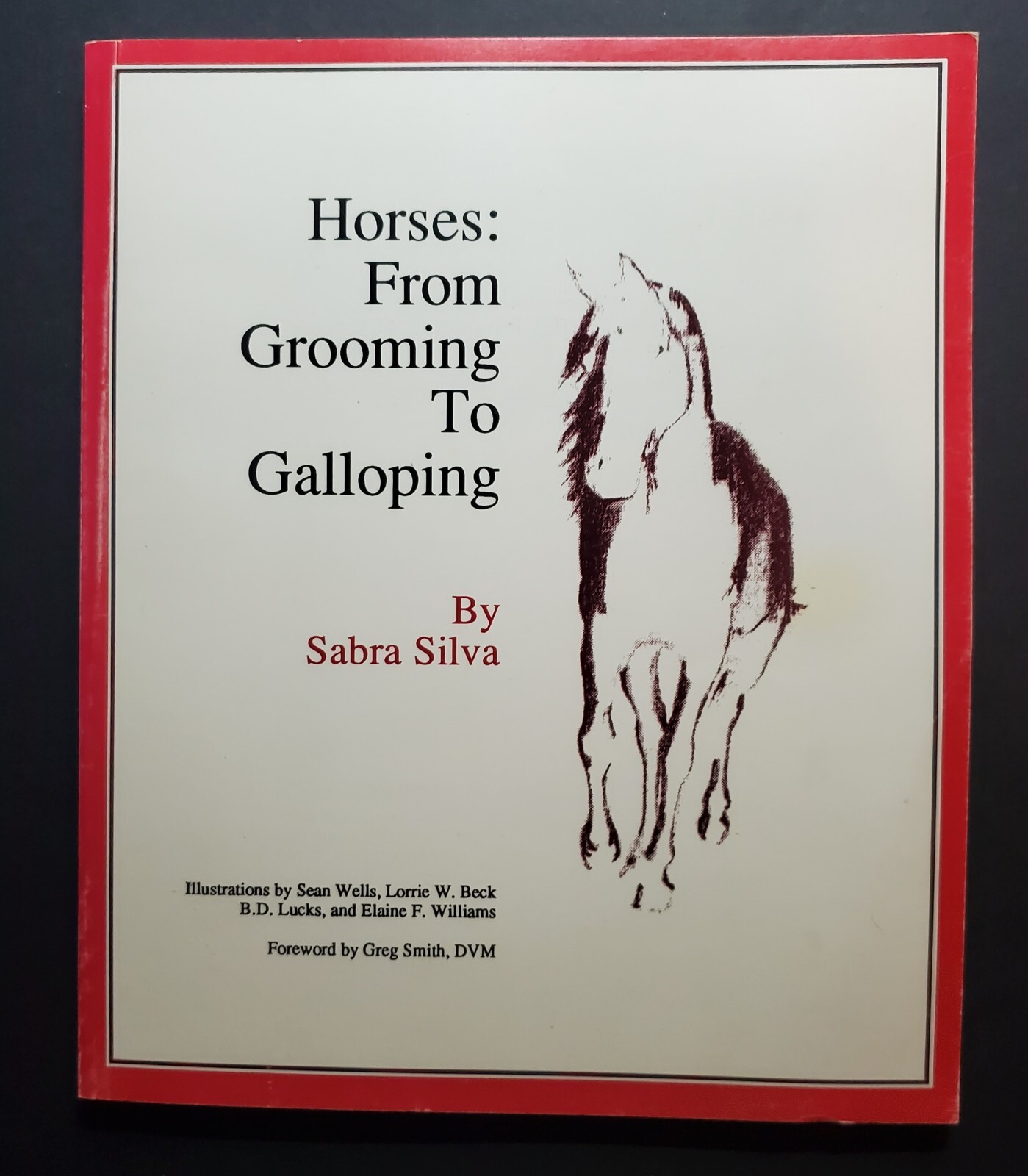 Horses : From Grooming to Galloping by Sabra Silva (1990, Trade Paperback)