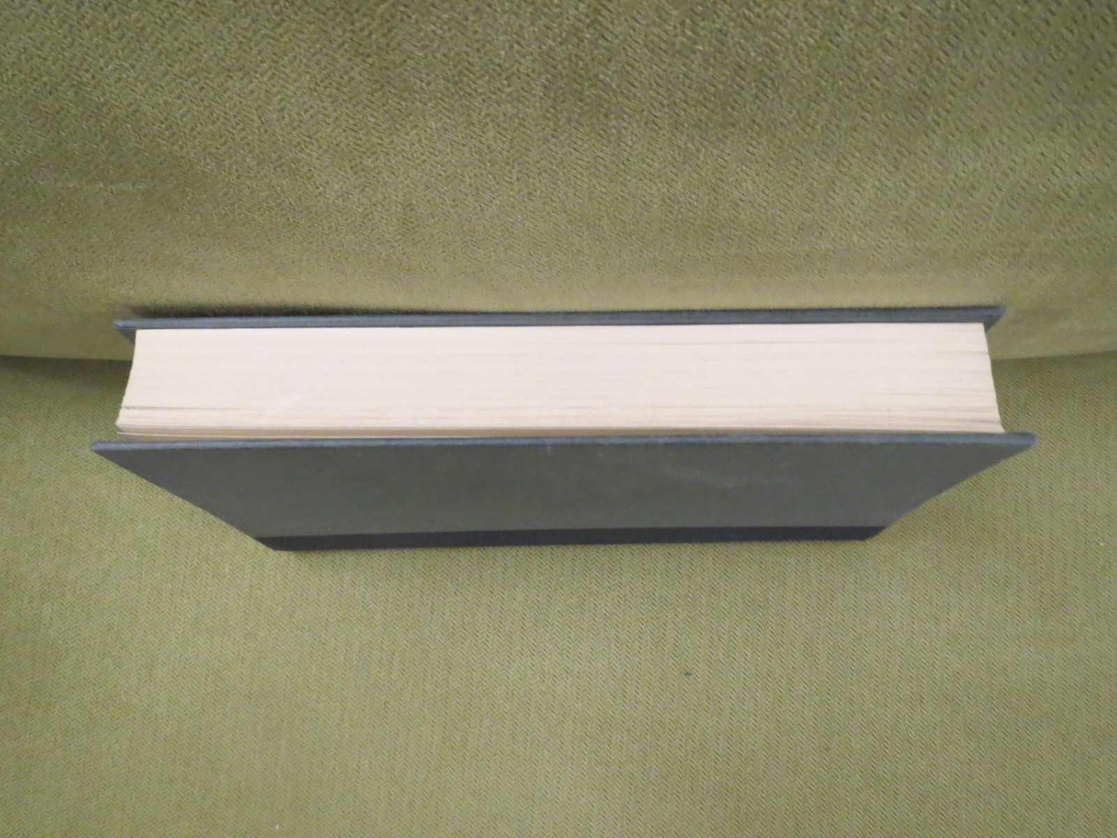 The Cardturner by Louis Sachar (Bridge), Hardcover, MISSING DUST JACKET
