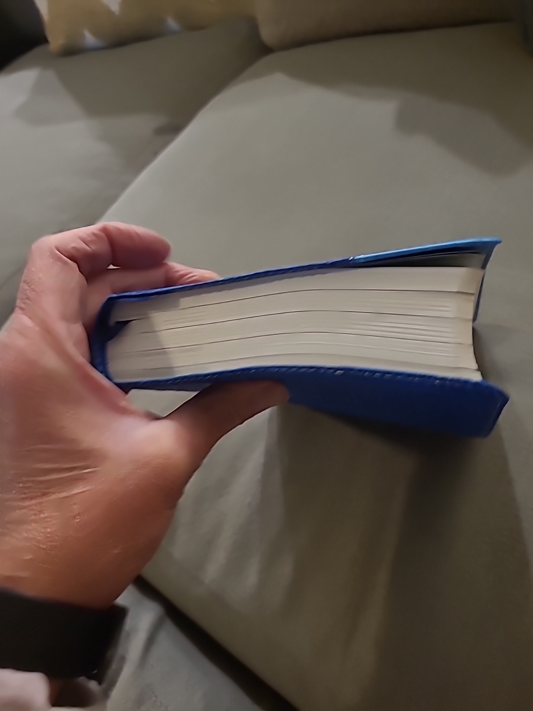 NIV, Adventure Bible, Leathersoft, Blue, Full Color by Zondervan Staff (2013,…