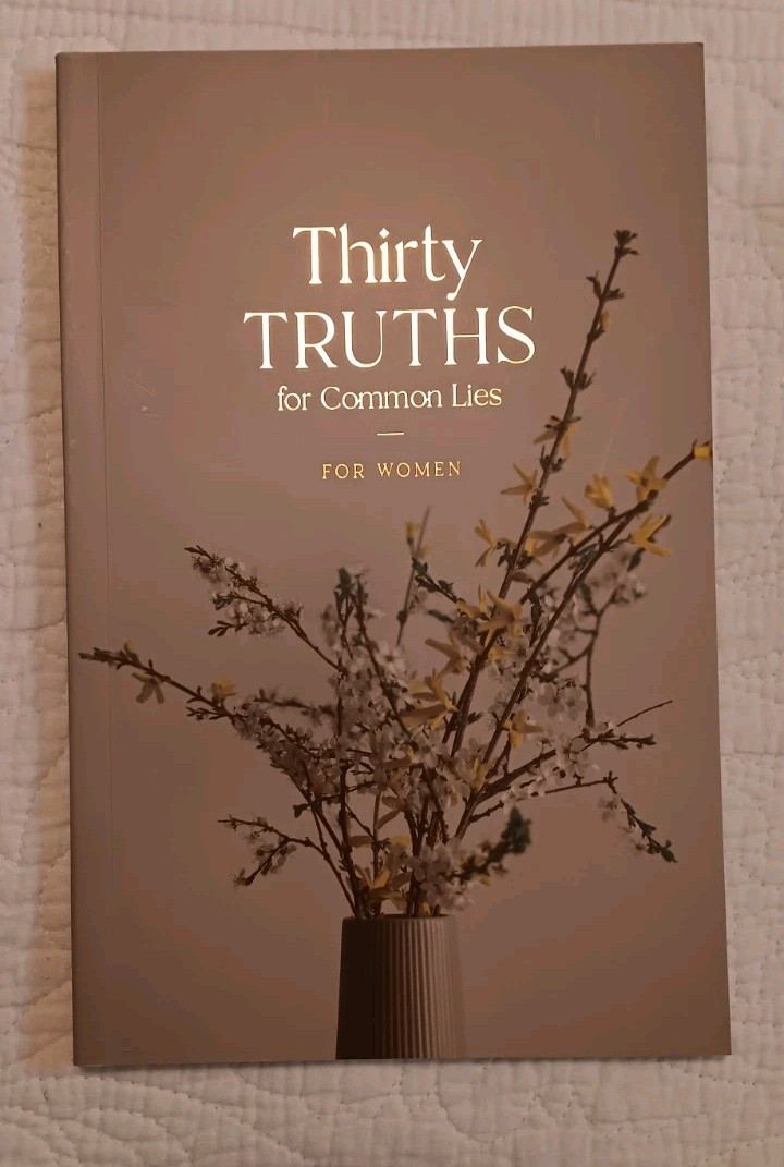 Thirty Truths for Common Lies for Women – The Daily Grace Co.