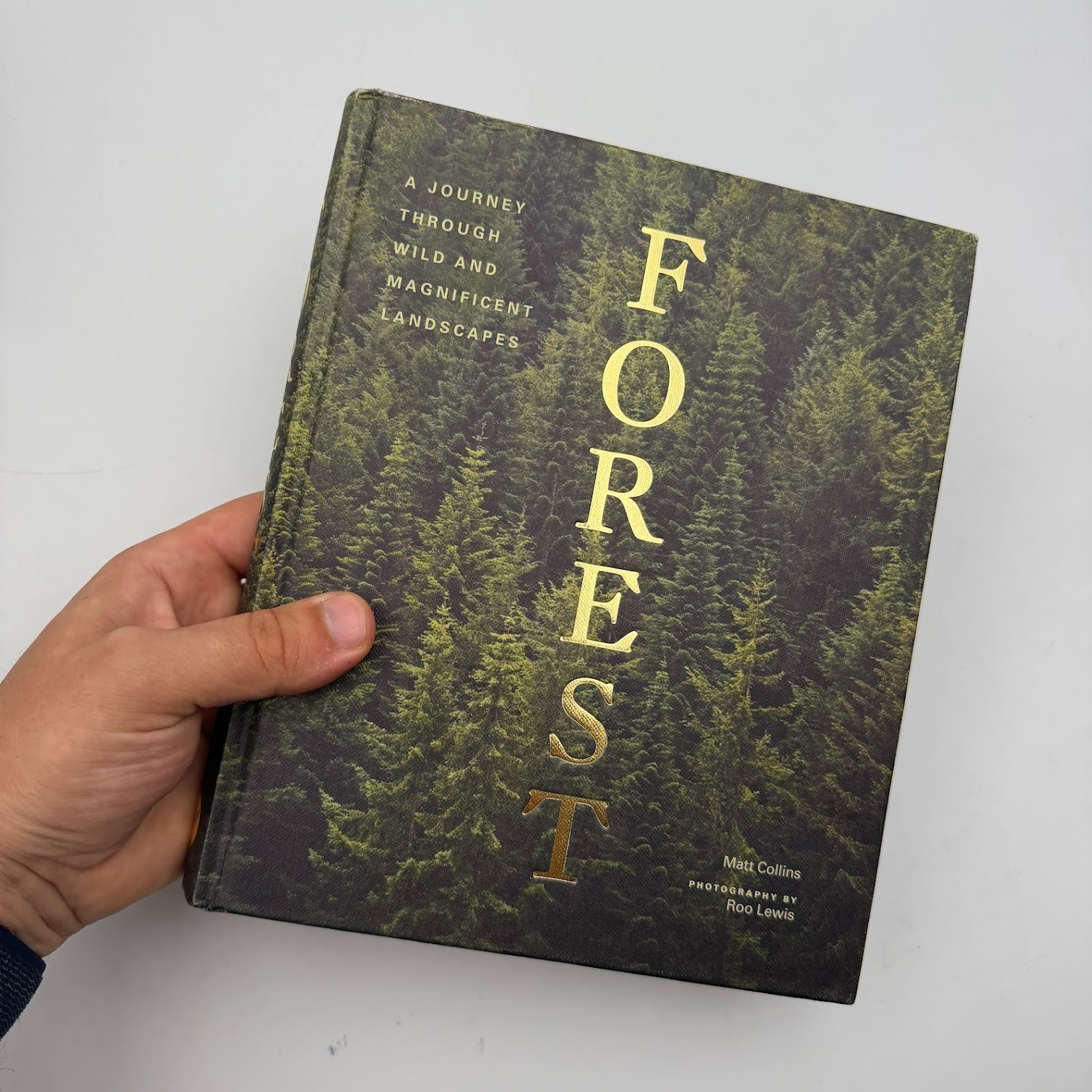 Forest by Matt Collins (2020, Hardcover) Tree Photography Book, Nature and World