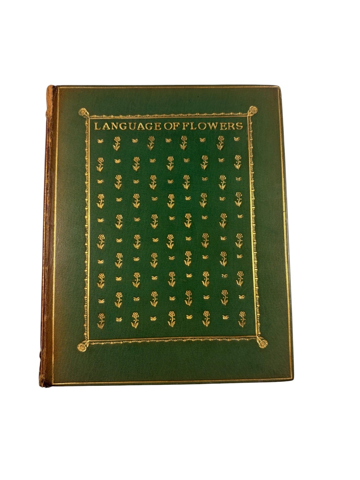 Language of Flowers Kate Greenaway Illustrated Frederick Warne Victorian Book