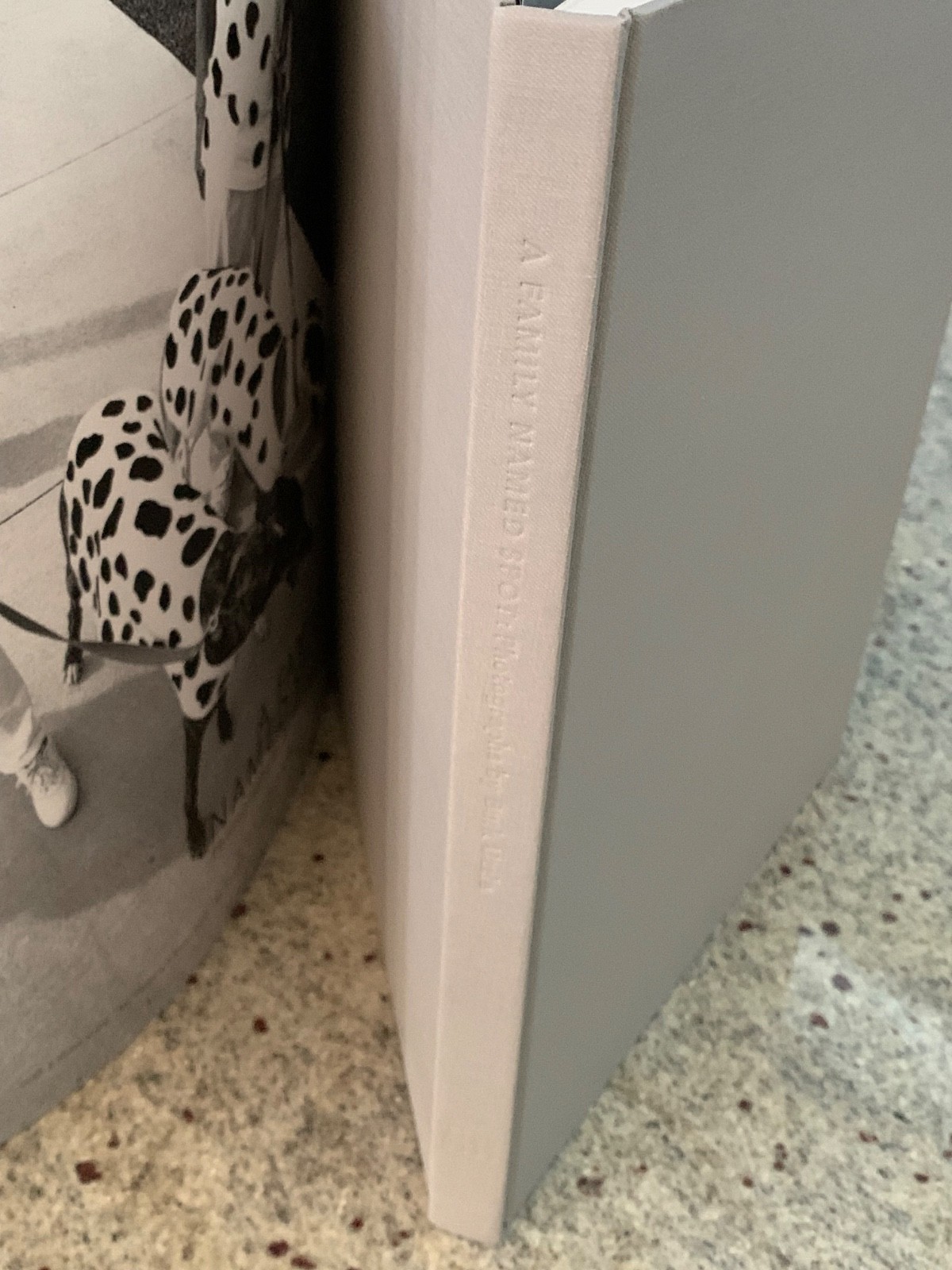 A Family Named Spot by Allan Gurganus: Hard Cover Photo Book 2006