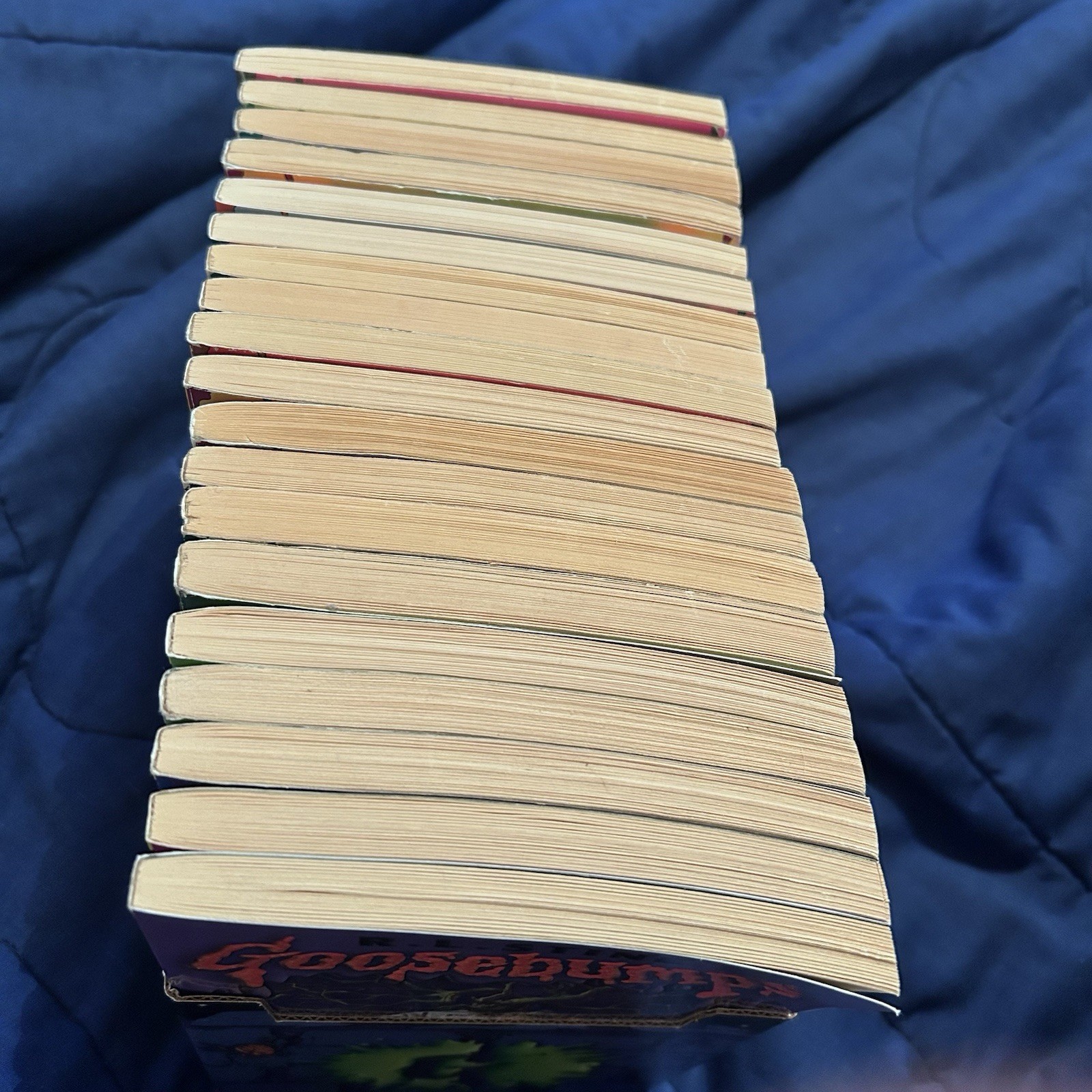 Lot of 19 Vintage 1990’s Goosebumps Books & Rare Cardboard Bookends 1st Print!