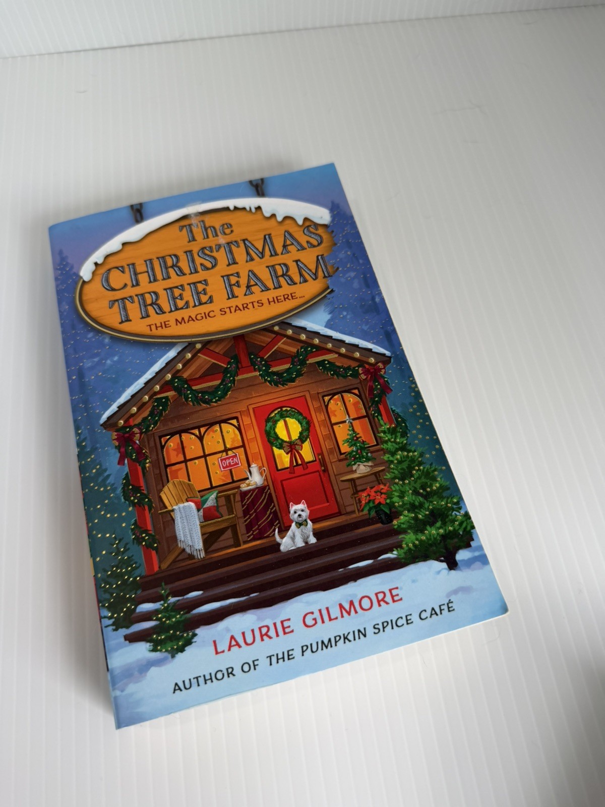 (3) Pumpkin Spice Café; Christmas Tree Farm; Cinnamon Bun Book Store (L Gilmore)