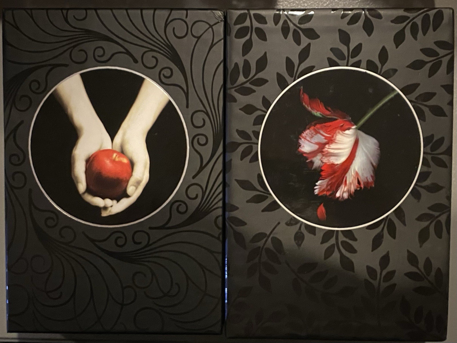 Set Twilight & Moon Saga Meyer Autopen Signed Collector’s Edition Slipcase