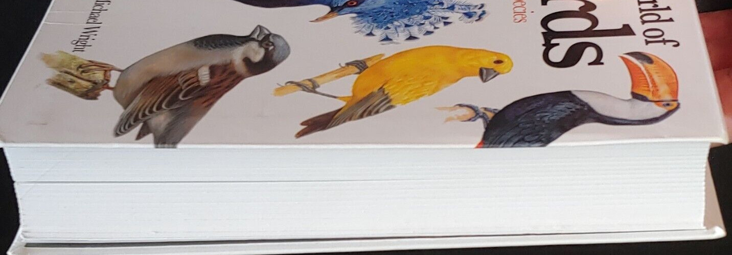 Mini Encyclopedia Ser.: The World of Birds : Over 300 Species by Michael Wright