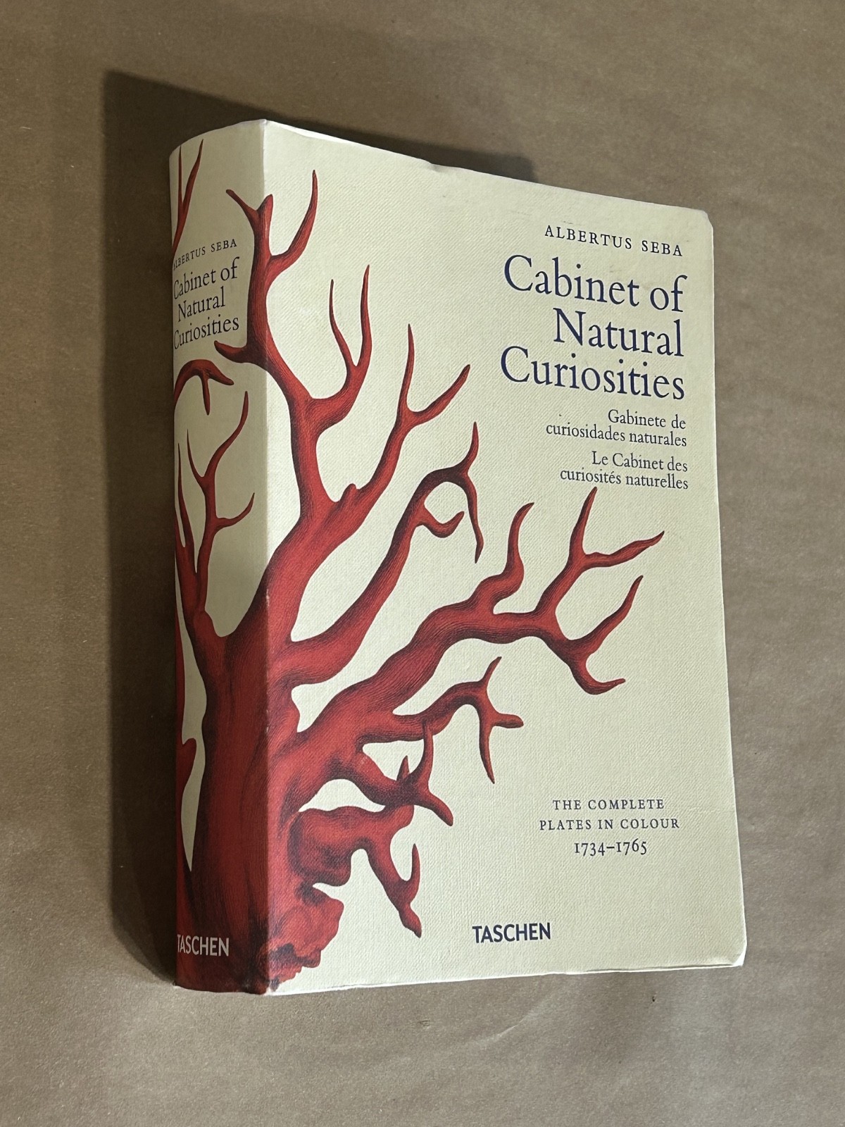 Albertus Seba Cabinet of Natural Curiosities Book Multilingual Edition Paperback