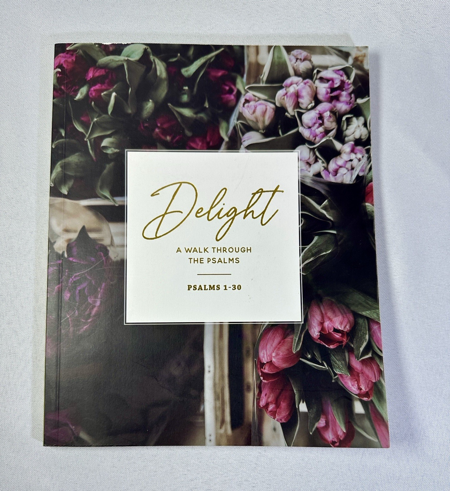 Delight: Psalm 1-30 Paperback Book The Daily Grace Co New