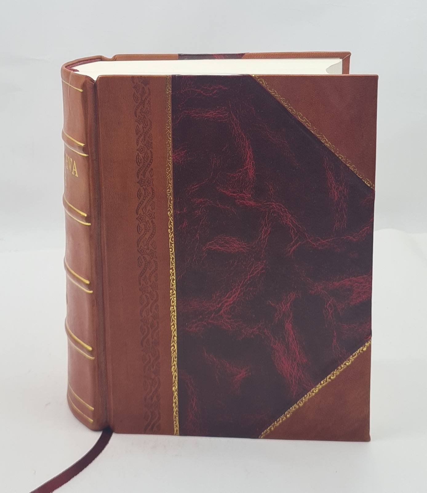 The Geneva Bible 1560 1560 by God [LEATHER BOUND]