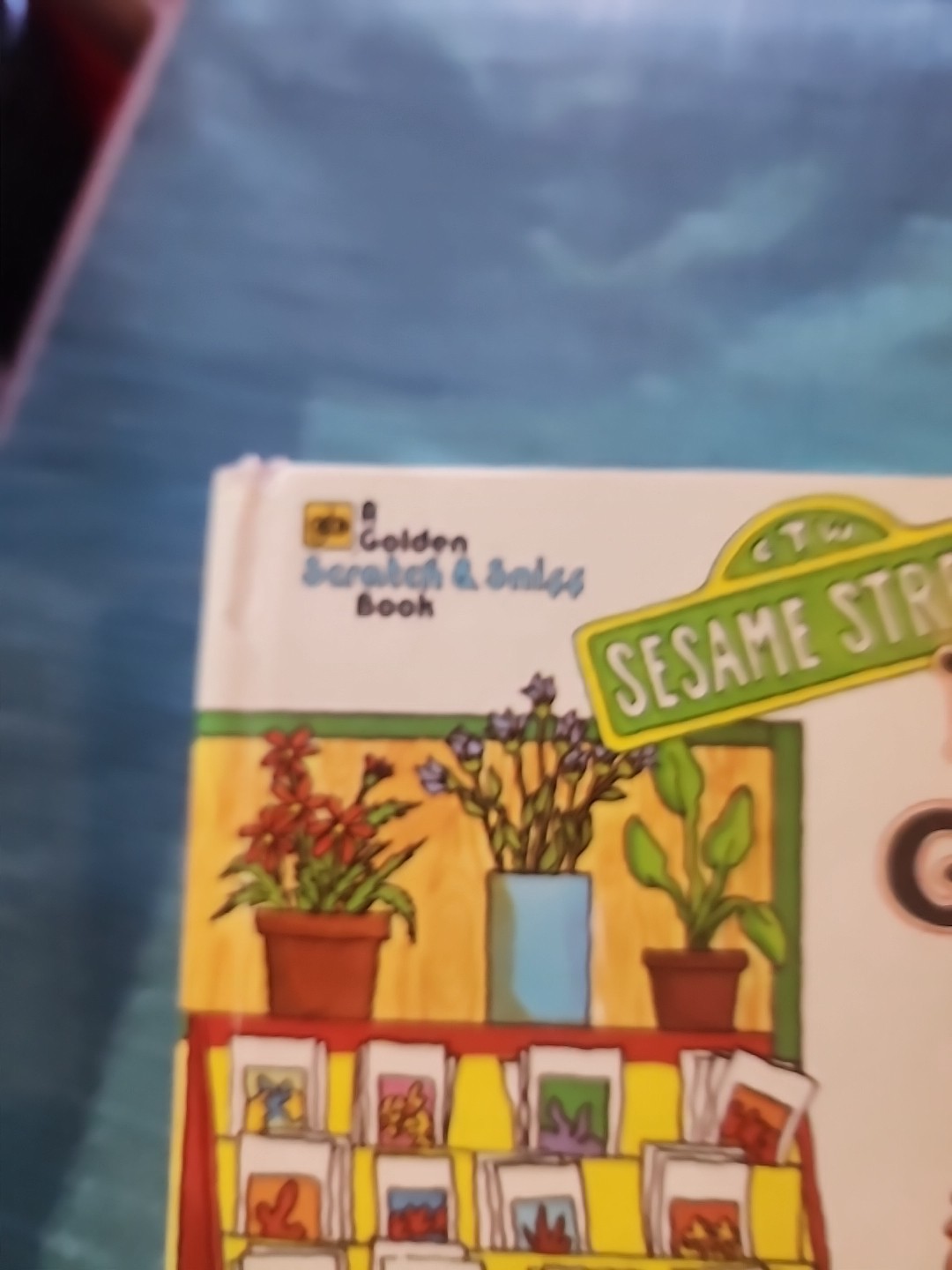 Sesame Street Big Bird Gets Lost (1979) Golden Hardcover Book