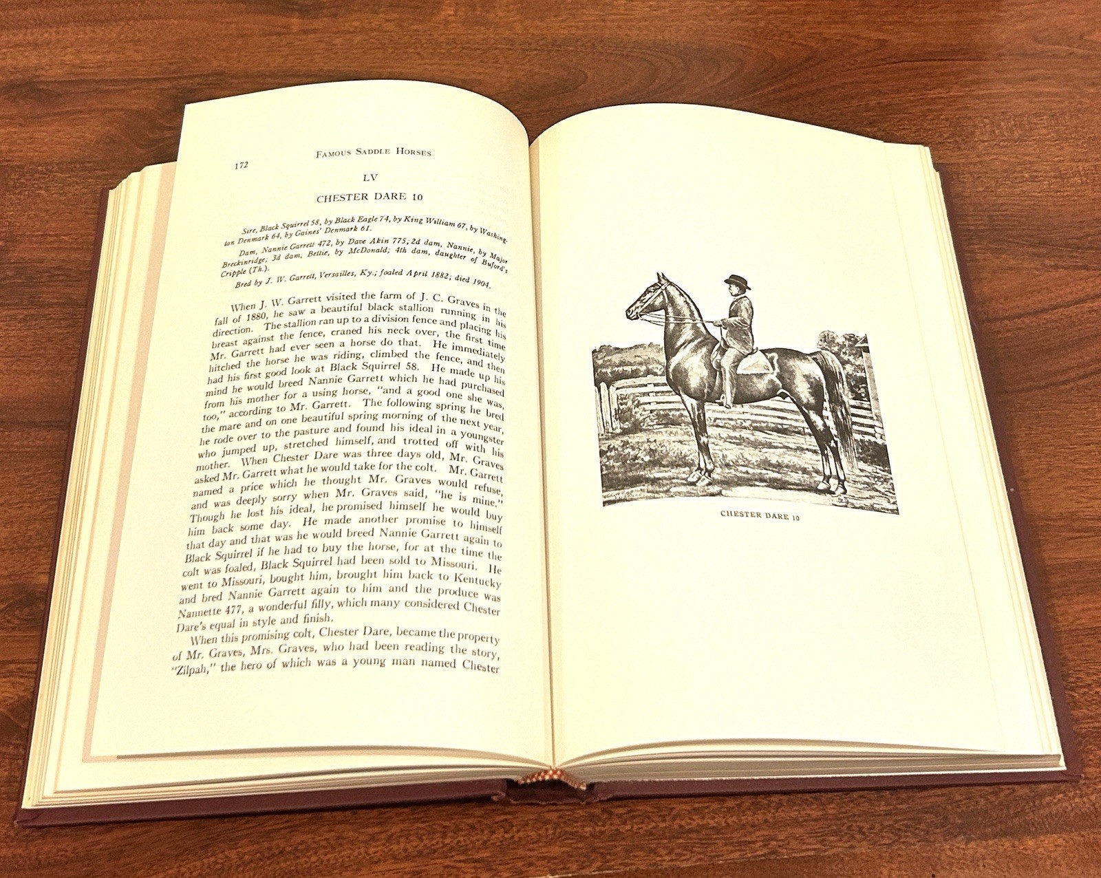 Famous Saddle Horses 3 Vol Set Ltd Ed #436 American Saddlebred Susanne Scharf