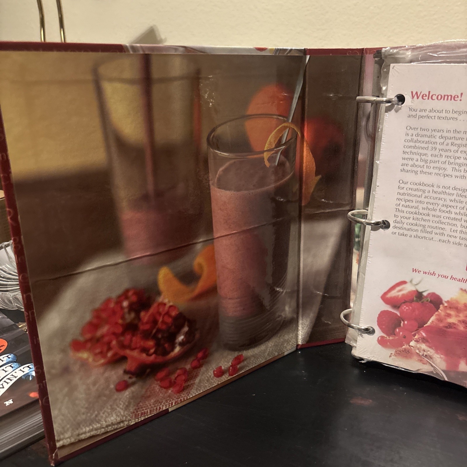 Vita-Mix Whole Food Recipes 3-Ring Binder Sealed 2009 USA