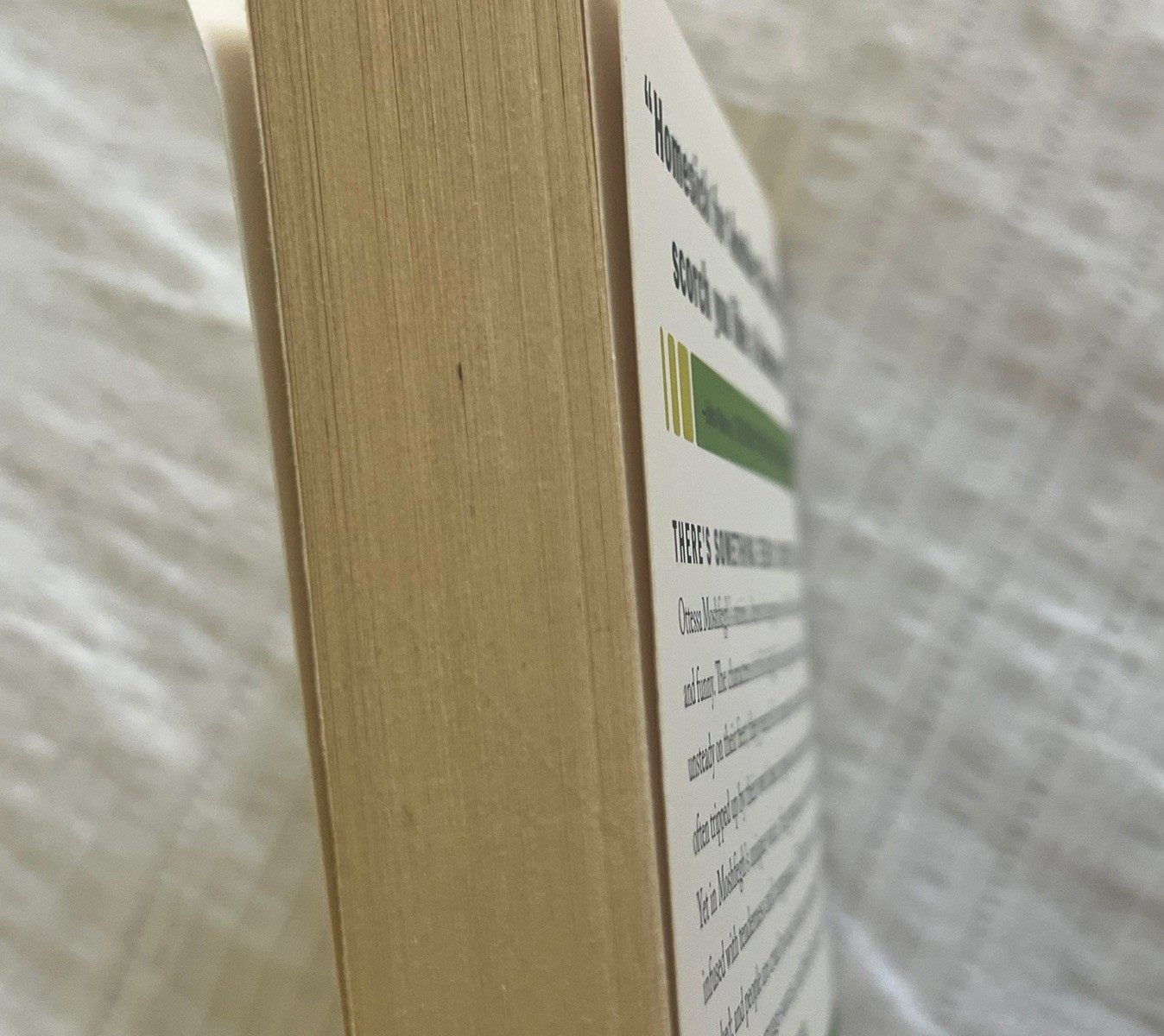 homesick for another world: stories – moshfegh ottessa (v good)