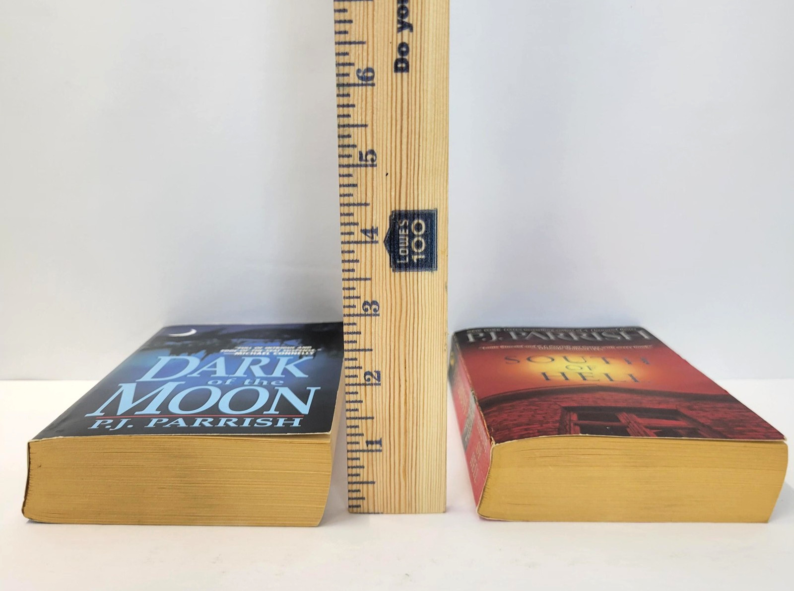 Dark Of The Moon & South Of Hell P.J. Parrish 2 Mass Market PB Lot Crime Mystery