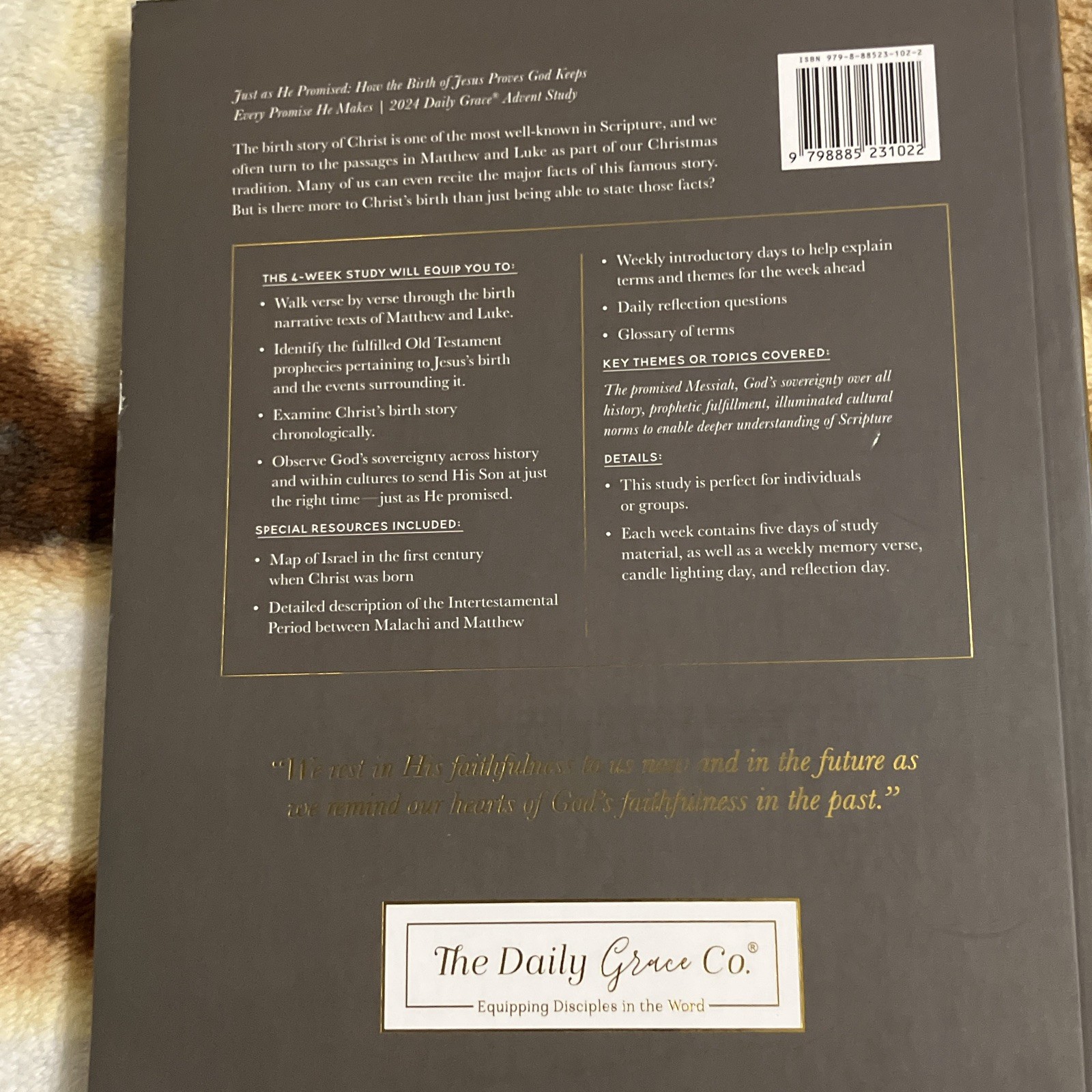 The Daily Grace Co. Just as He Promised 2024 Advent Bible Study Guide PB