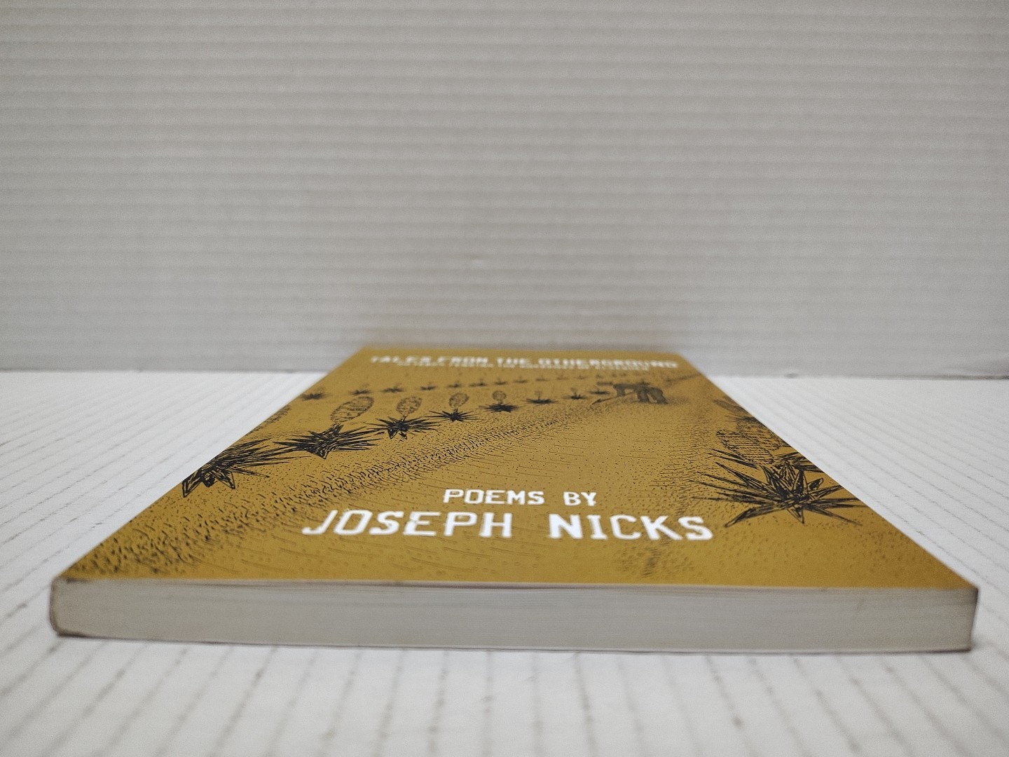 TALES FROM THE OTHERGROUND : Poems by Joseph Nicks (2014, Pb) * FREE SHIPPING *