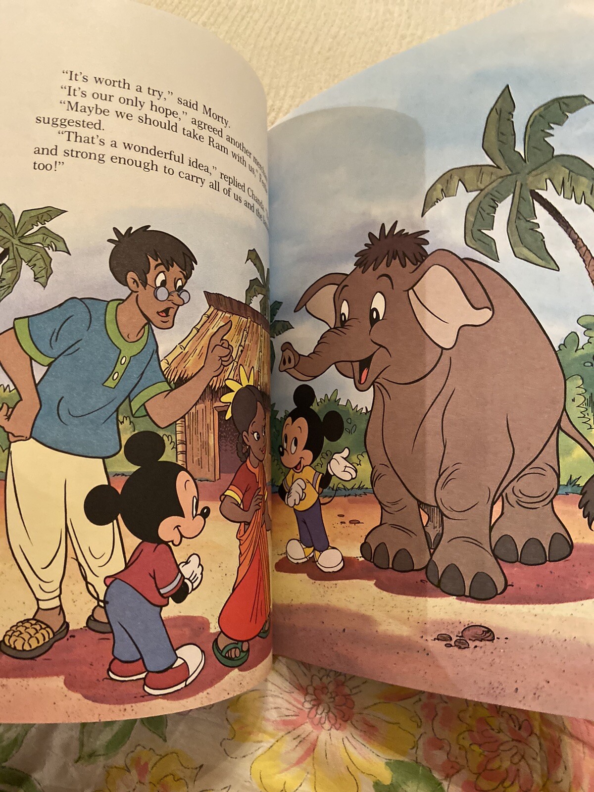 A VERY SPECIAL NEW YEAR: AN ADVENTURE IN INDIA, DISNEY’S SMALL WORLD LIBRARY
