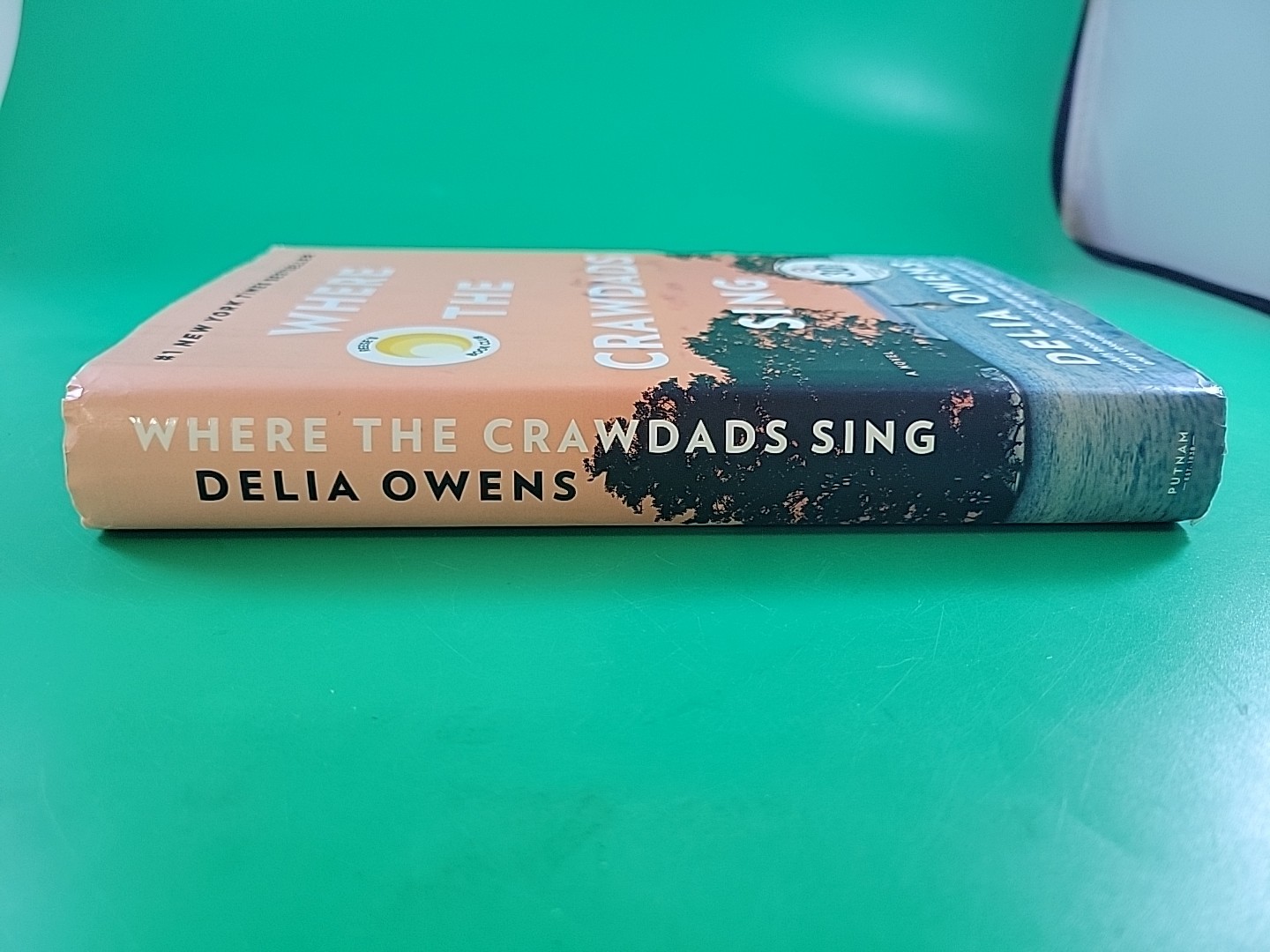 Where the Crawdads Sing by Delia Owens HC/DJ