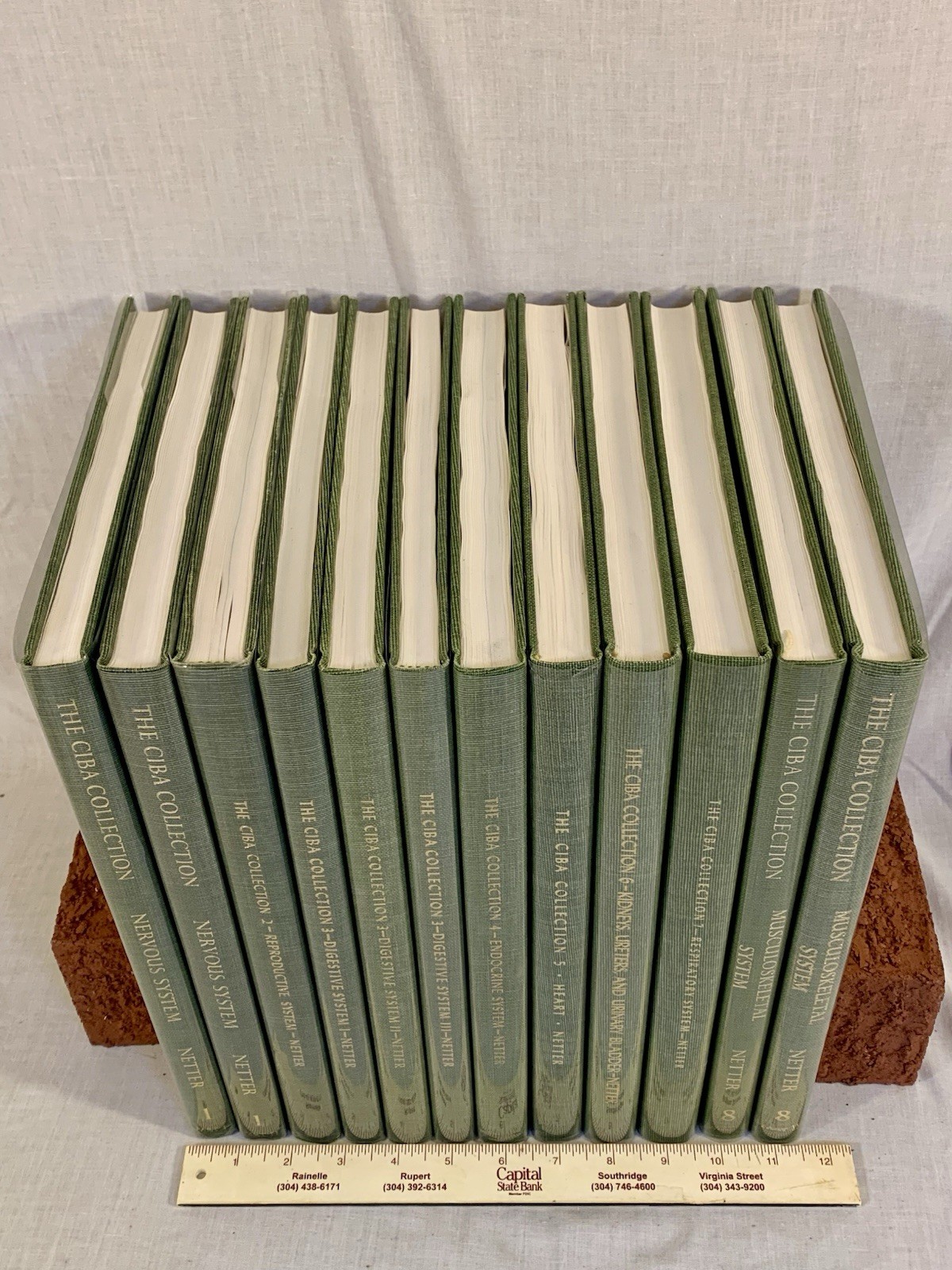 THE CIBA COLLECTION OF MEDICAL ILLUSTRATIONS 12 Book 8 Volume Set Frank H Netter