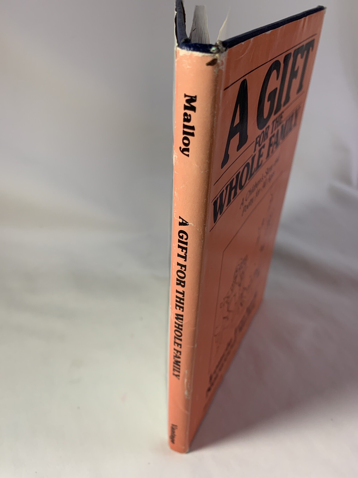 A Gift for the Whole Family ~ A Children’s Story and Poetry for All Ages