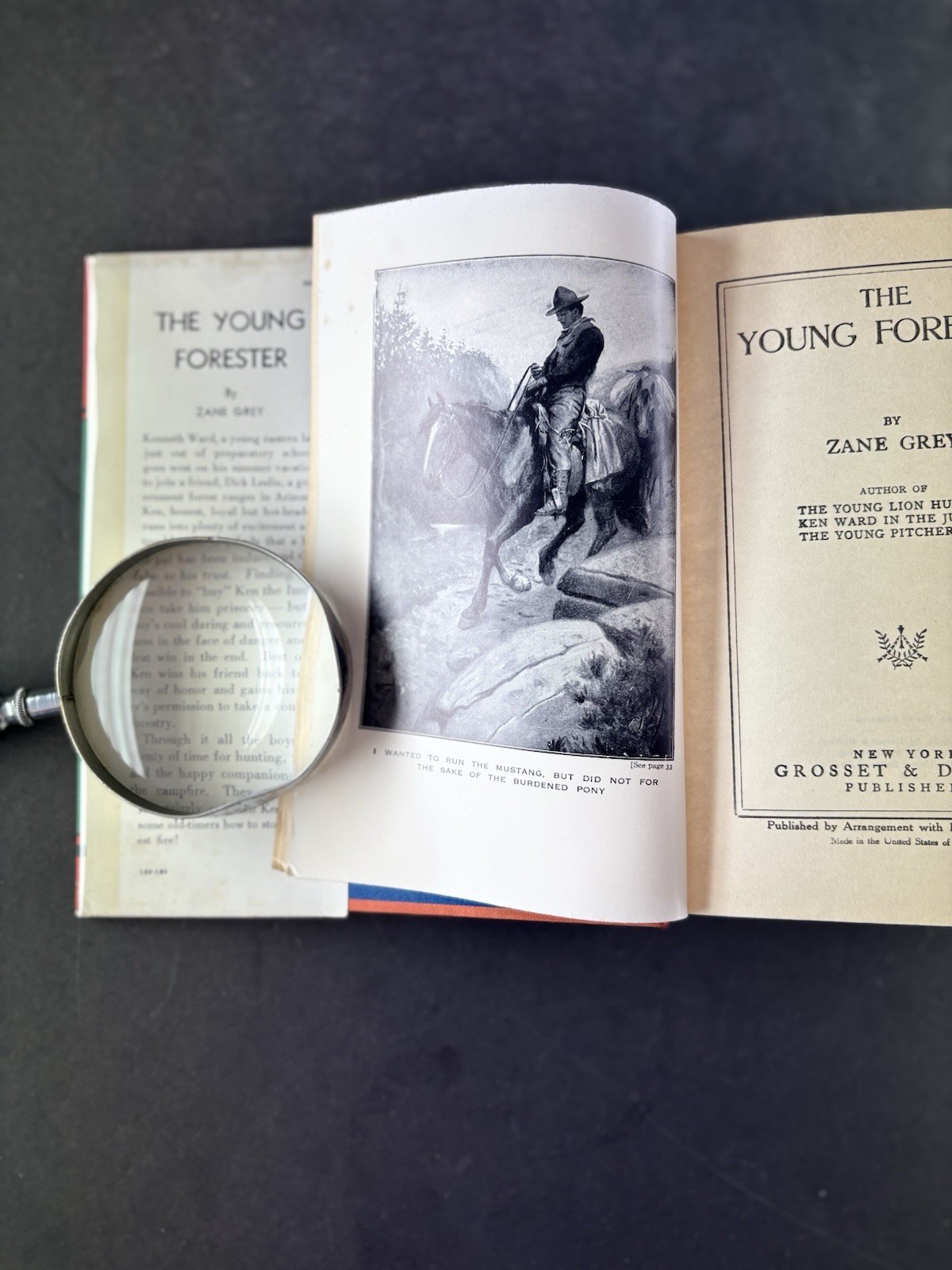 Zane Grey THE YOUNG FORESTER HC DJ Grosset Dunlap Western Adventure Book