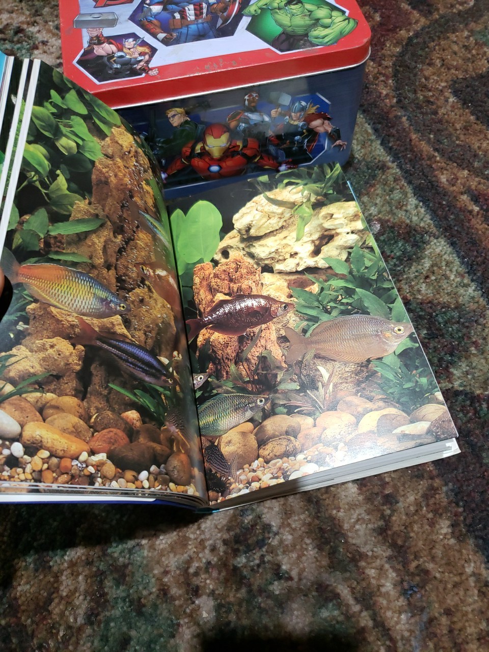 Aquarium Owner’s Manual by Gina Sanford (2003, Trade Paperback)