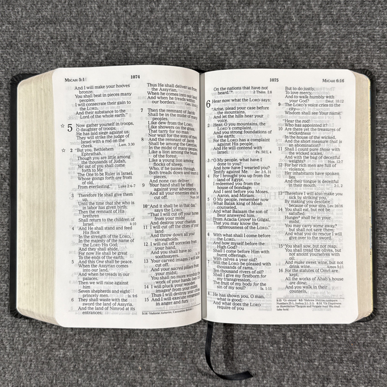 Amazing Facts Prophecy Study Bible NKJV Leathersoft Black Thomas Nelson 2008