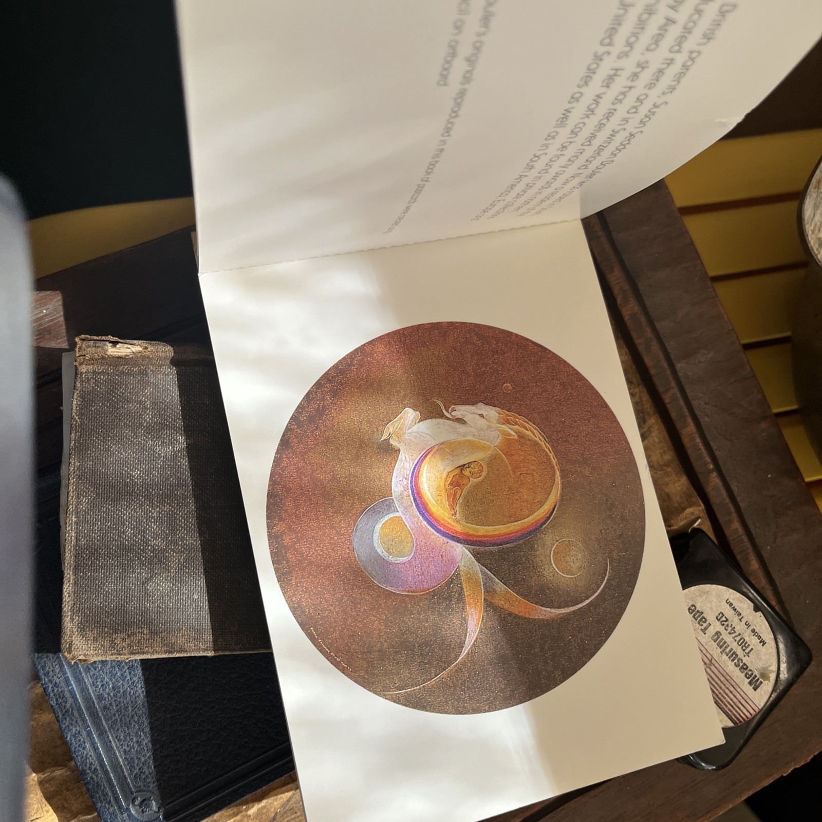 A SUSAN SEDDON BOULET BESTIARY: A BOOK OF POSTCARDS