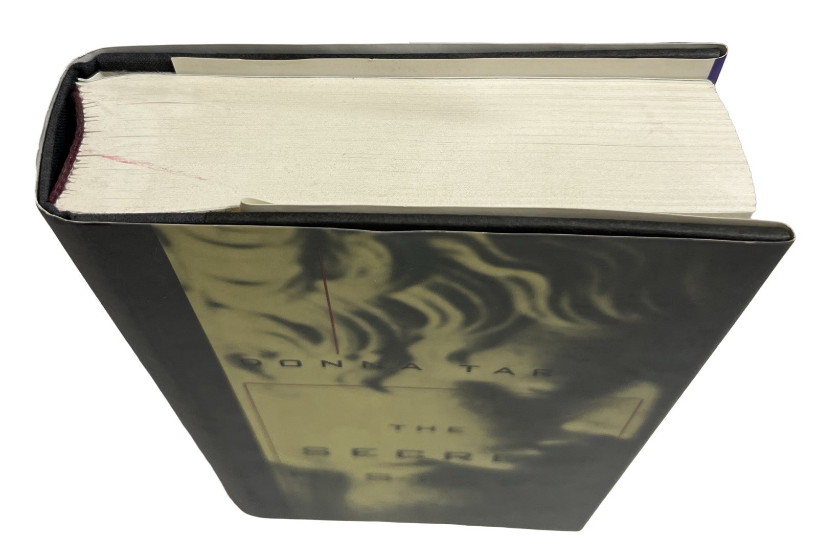Secret History : A Novel by Donna Tartt (1992, Hardcover)