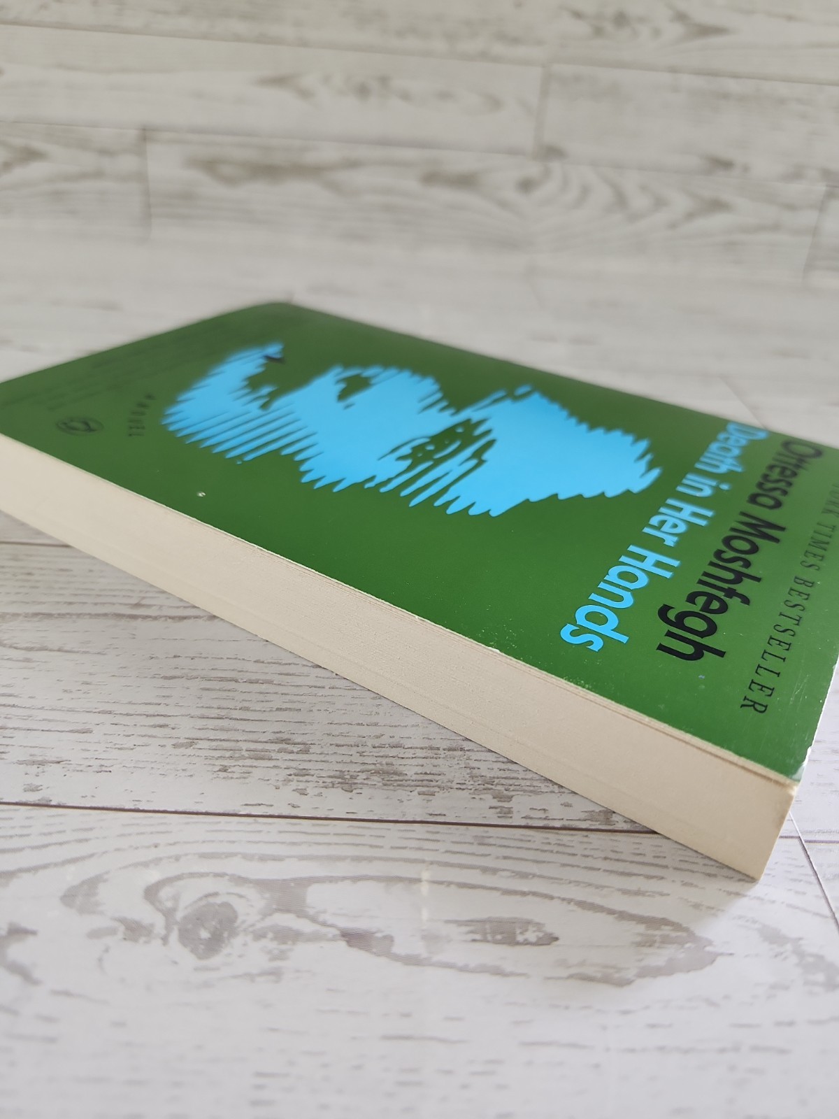 Death in Her Hands: A Novel Paperback By Moshfegh, Ottessa Very Good
