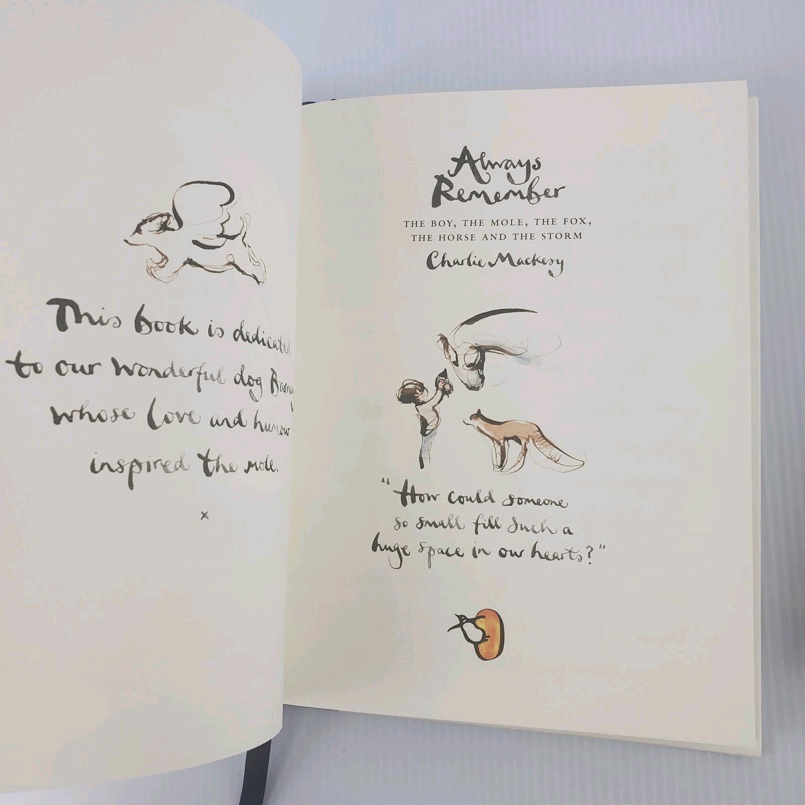 Always Remember & The Boy, The Mole, The Fox, and The Horse by Charlie Mackesy