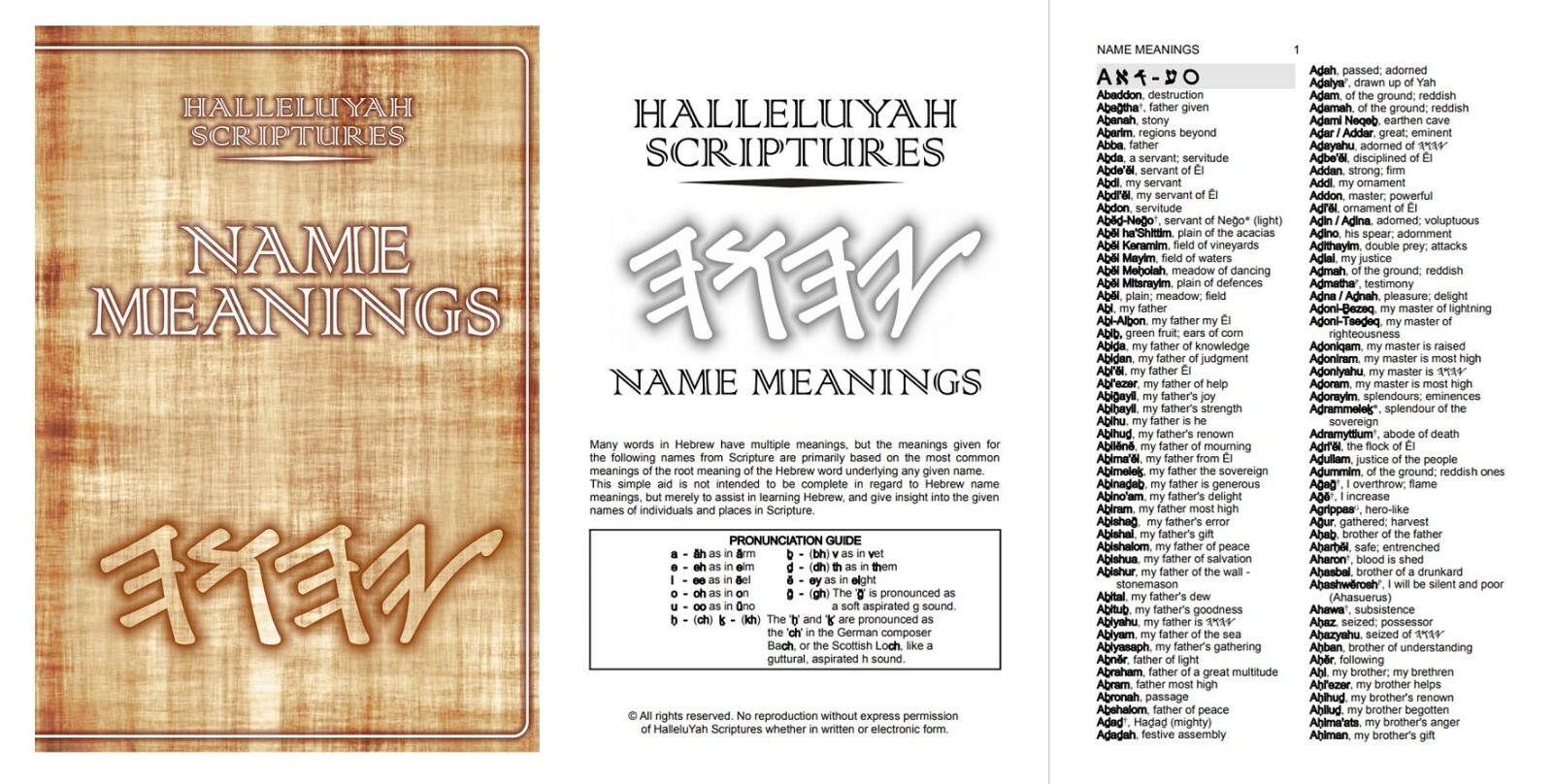 HalleluYah Scriptures NAME MEANGINS BOOK 2500 Names & Meanings FREE SHIPPING