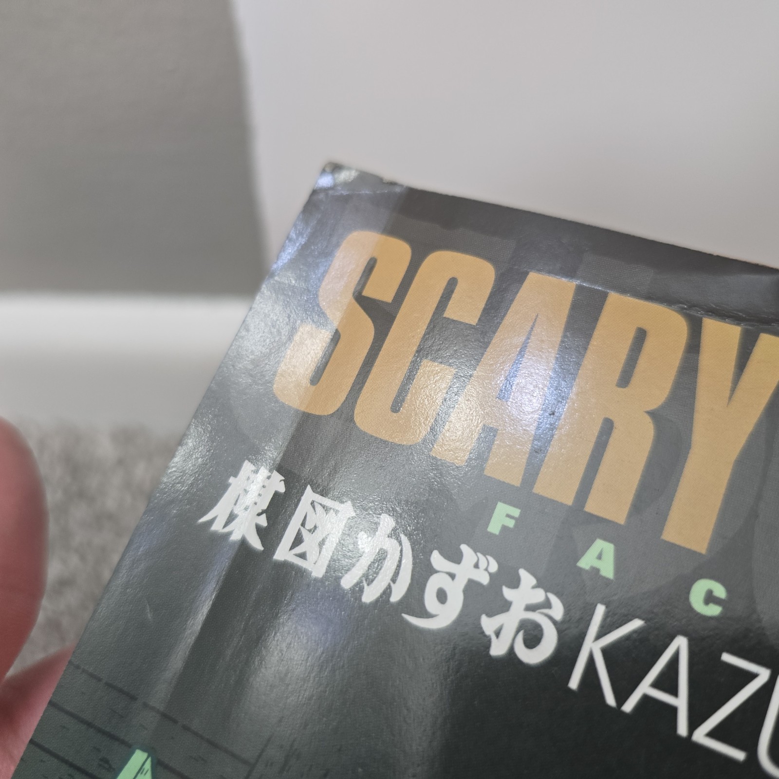 Scary Book Volume 3: Faces by Umezu, Kazuo Paperback / softback Book The Fast