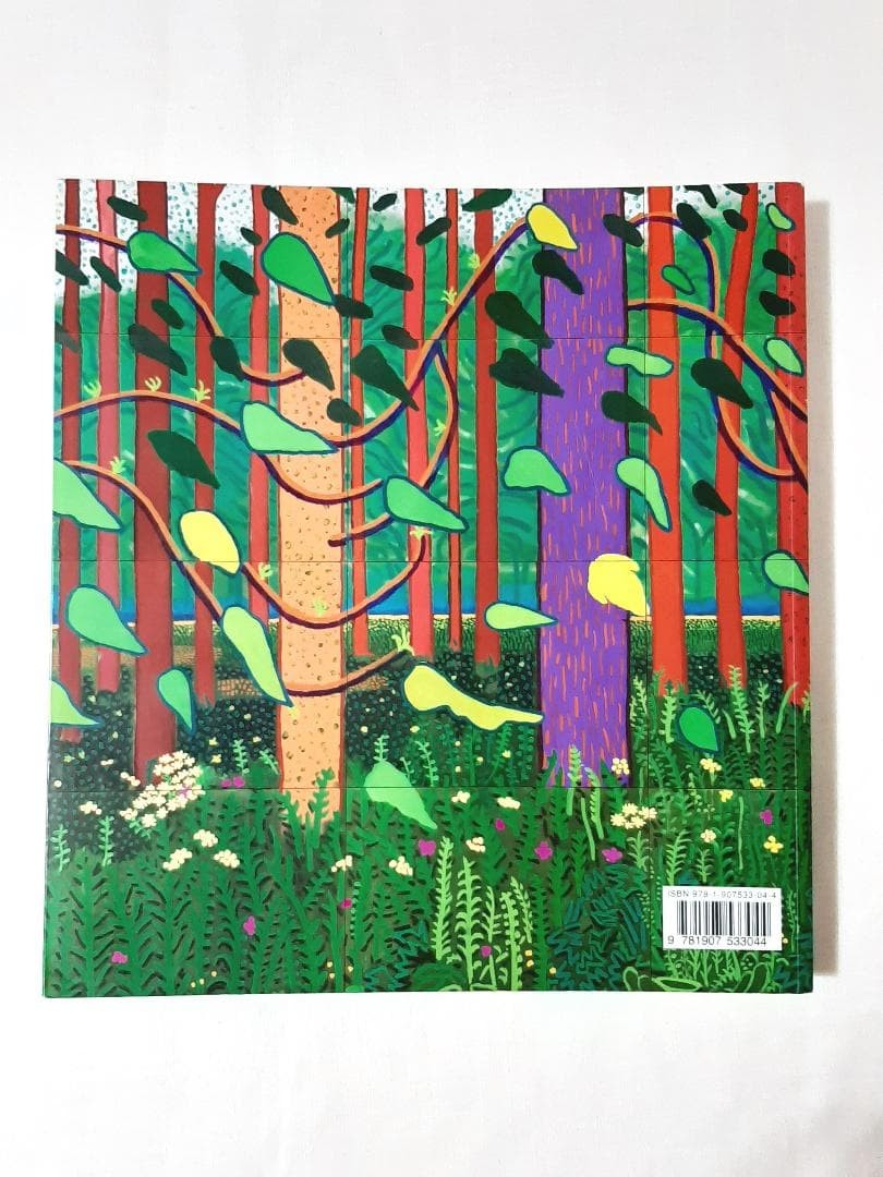 David Hockney A Bigger Picture Art Book English 301 Pages Used