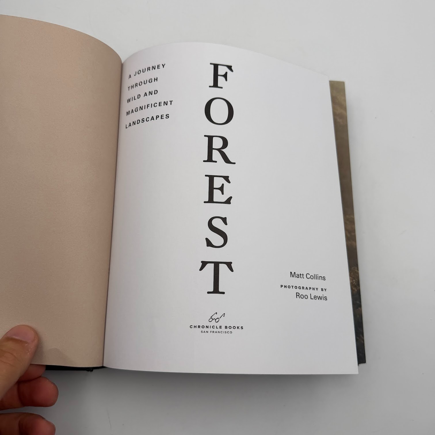Forest by Matt Collins (2020, Hardcover) Tree Photography Book, Nature and World