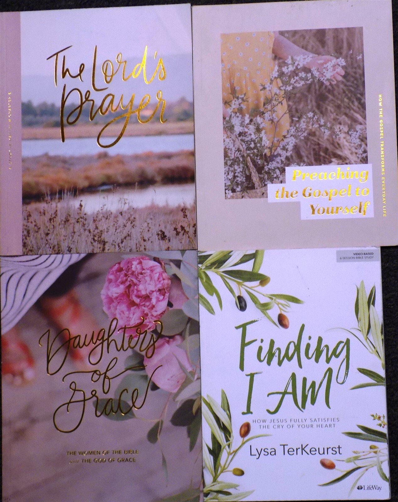 Lot of 4: The Daily Grace Co FINDING I AM,THE LORD’S PRAYER,DAUGHTERS OF GRACE++