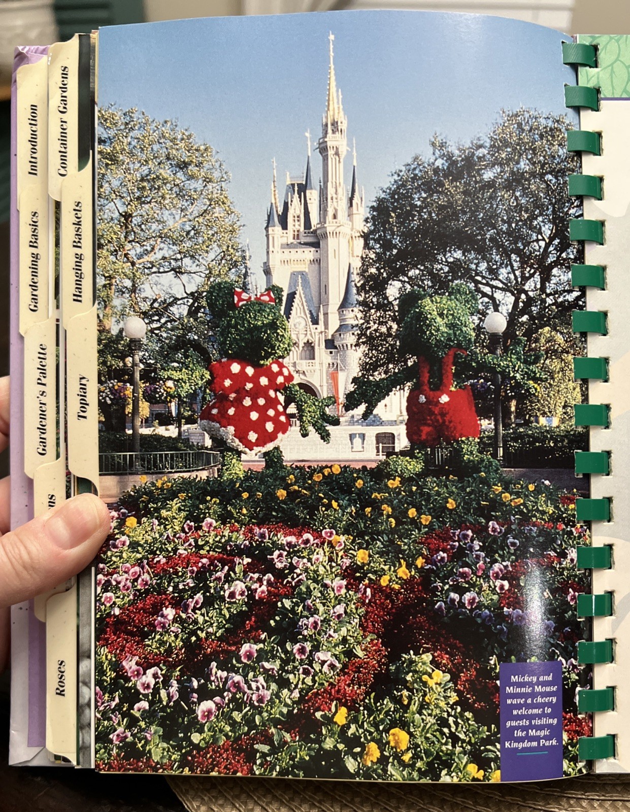 Disney’s Gardening with MICKEY 1st Edition Hardcover With Spiral Binding