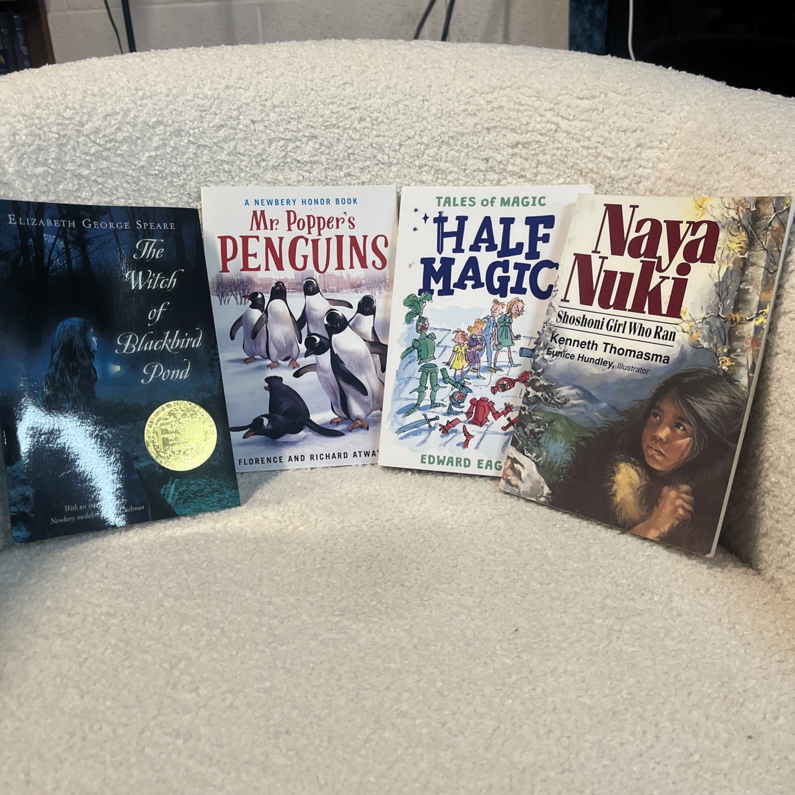 Lot Of 35 Middle Grade Novels Homeschool Newberry Books Set Reading