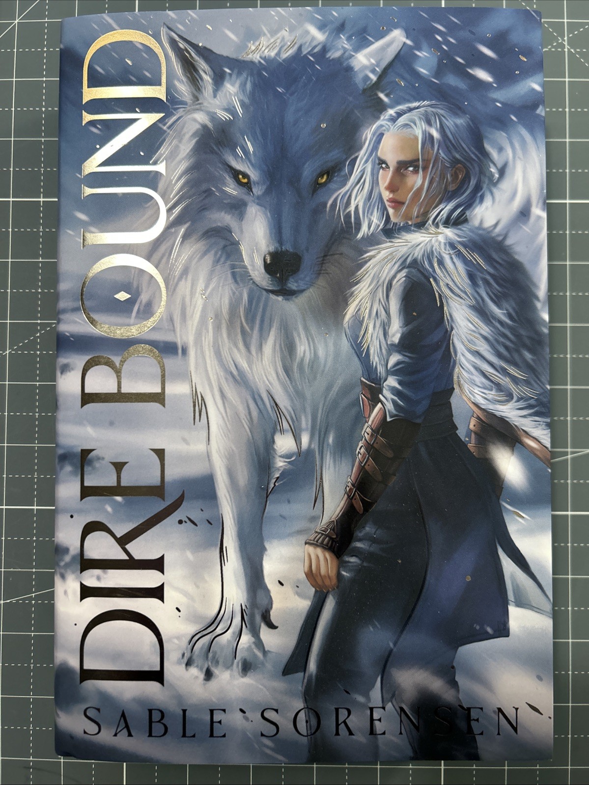 Dire Bound – Sable Sorensen FairyLoot Exclusive Edition – Hardcover Unsigned NEW