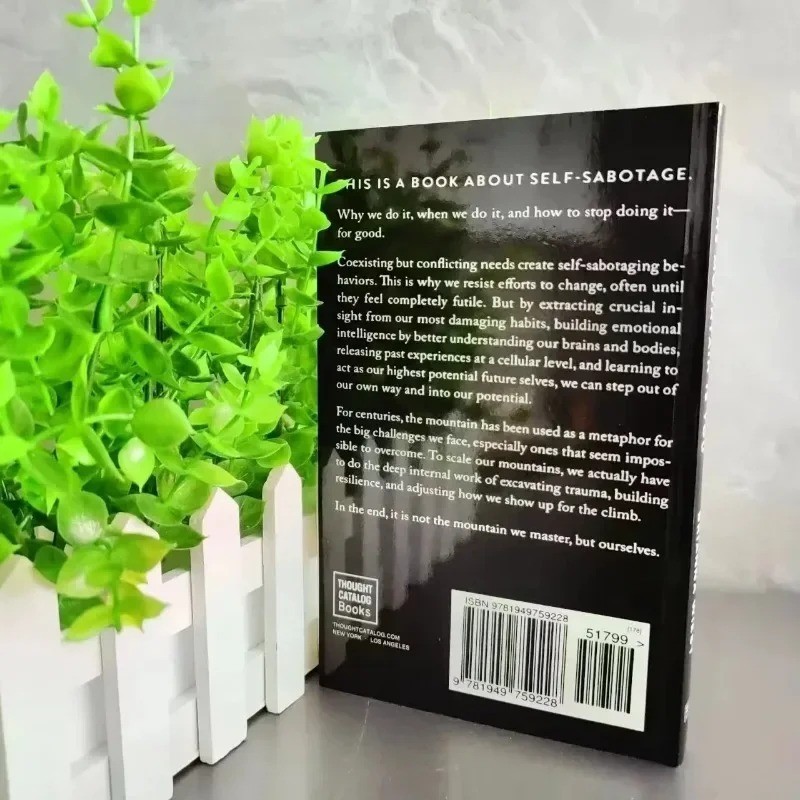 The Mountain is You By Brianna Wiest Premium Quality Free Shipping
