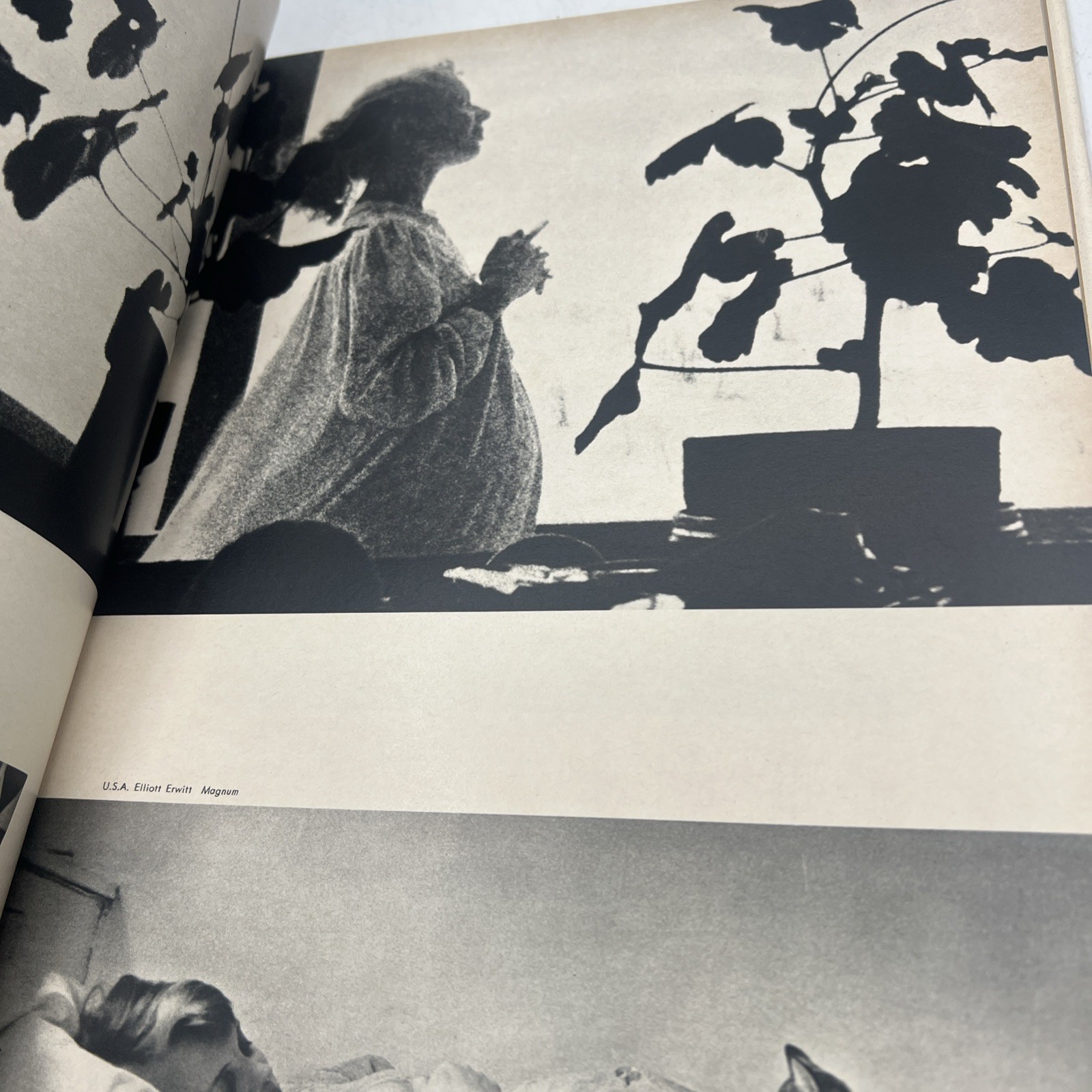 The Family Of Man Edward Steichen first edition HC/DJ Carl Sandburg MOMA