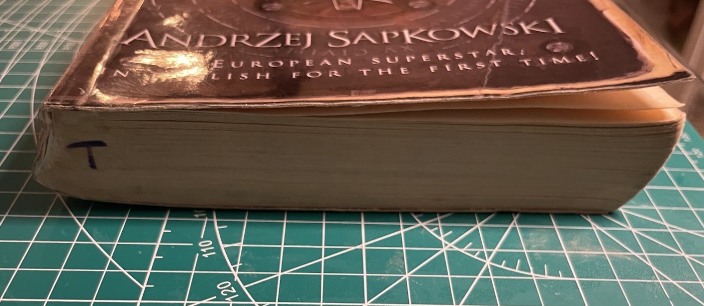 The Last Wish 1st Eng Ed 1st Print SC Andrzej Sapkowski Gollancz Fair Condition