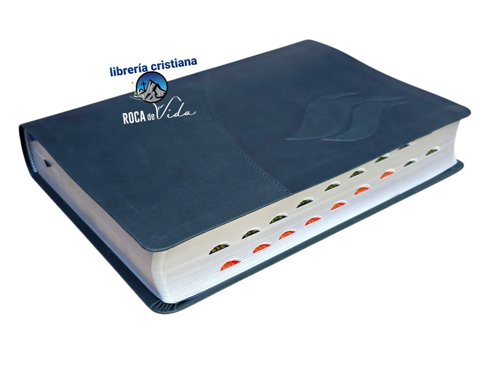 Biblia de Estudio de la Vida Plena Actualizada RV1960, piel negro Con Índice