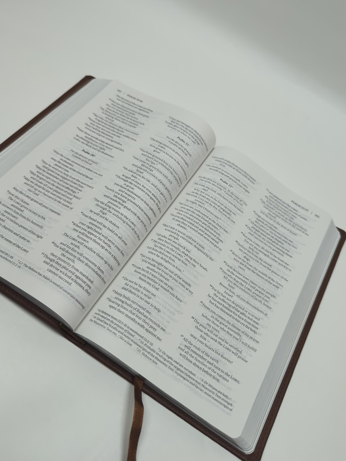 Thinline Bible by Zondervan Bibles Staff (2012, Leather, Special) Chocolate Brow