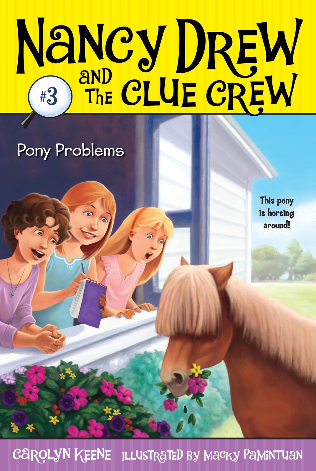 Pony Problems (Nancy Drew and the Clue Crew #3) – paperback Pamintuan, Macky…